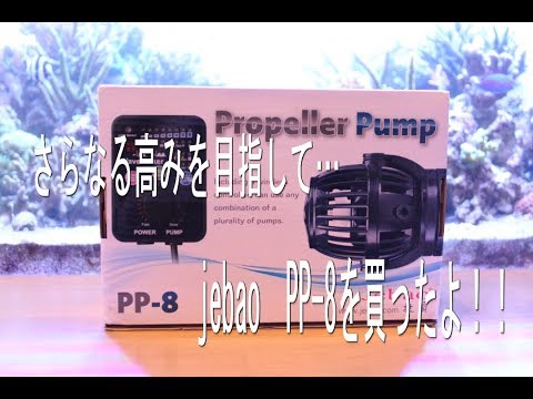 【海水水槽】山奥のReefTank動画編part34　jebao PP-8 真面目にレビュー