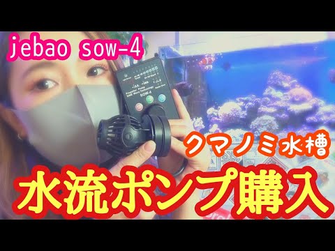 【海水魚水槽】水流ポンプ購入jebao sow-4✨シアノバクテリア対策my coral aquarium MOAMOAちゃんねる