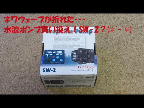 水流ポンプ新調しました！Jebao SW-2？？(*^-^*)