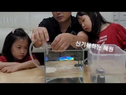제바오 제바토 150 자동물보충장치 jebao jebato 150 광학시 수위 센서 아쿠아티스트 제바오 한국 총판 aquatist
