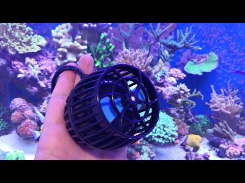 ?Nueva SDW-16 de Jebao! Y movemos las GYRE ??