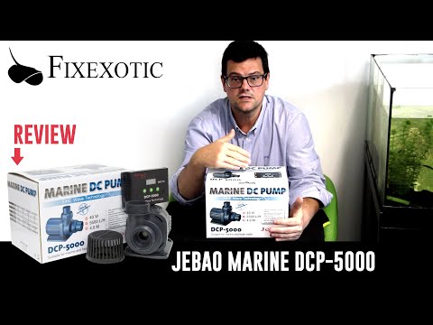 FIXEXOTIC – JECOD/JEBAO DCP-5000 Marine SINE wave technology (Review)
