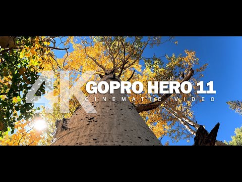 GoPro Hero 11 Cinematic Video Test – Bishop Fall Colors 2022