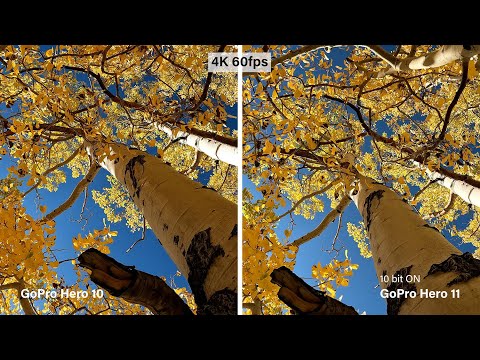 GoPro Hero 11 VS Hero 10 Camera Comparison