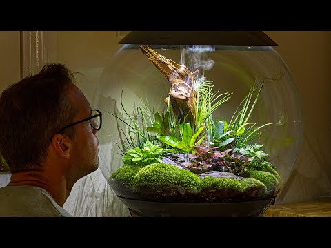 How to create a Beautiful biOrb AIR with Scaped Nature