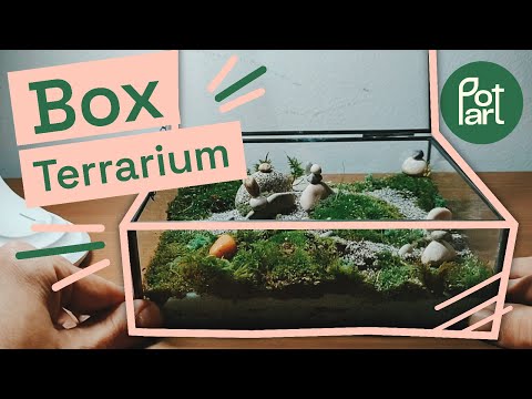 How to make a TERRARIUM BOX | glass terrariums