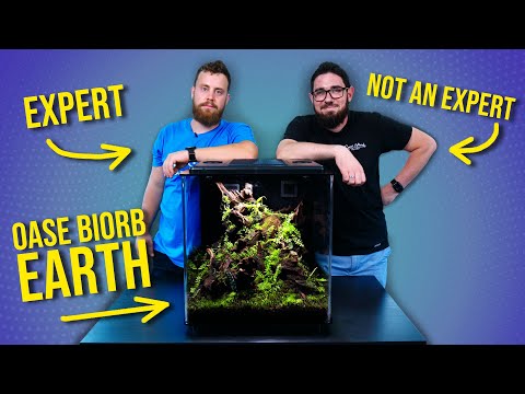 How to Make an OASE BIORB EARTH Terrarium Like an EXPERT