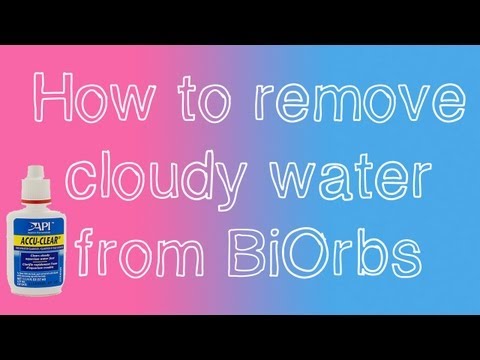 How To Remove Cloudy Water From a BiOrb
