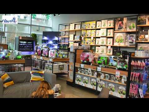 Implantation Biorb au Popup Store Truffaut Boulogne-Billancourt