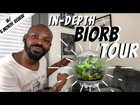 In-Depth biOrb Tour | 6 Month Mini Review