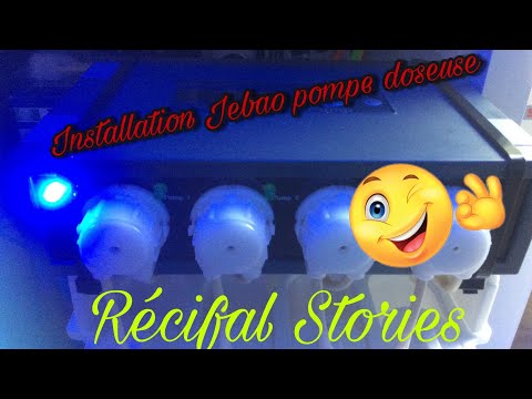 Installation Jebao pompe doseuse