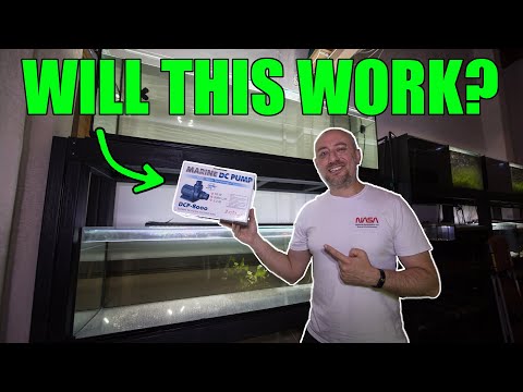 Installing 5 foot aquariums to an existing sump system and Jebao DCP 8000 review Part 1