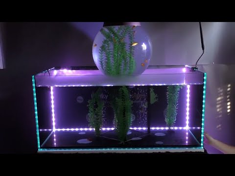 inverted aquarium  biOrb, upside down fish tank