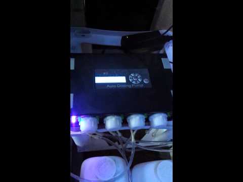 Jebao auto doser