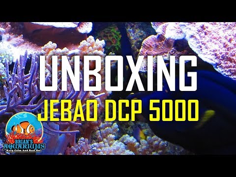 Jebao DCP-5000 Unboxing