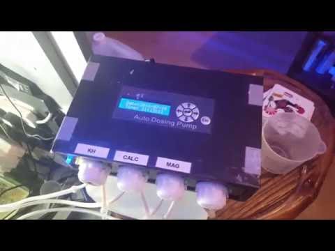 Jebao dp4 dosing pump calibration