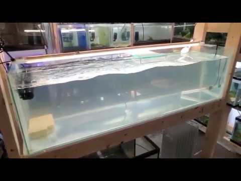 Jebao / Jabeo CP-90 Wave Maker Unboxing, Demo, Review