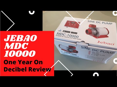 Jebao MDC Pump | One Year On Noise Review