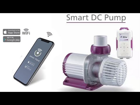 JEBAO MDP 5000 Return Pump UNBOXING. Value for money pump. ( Bengali )