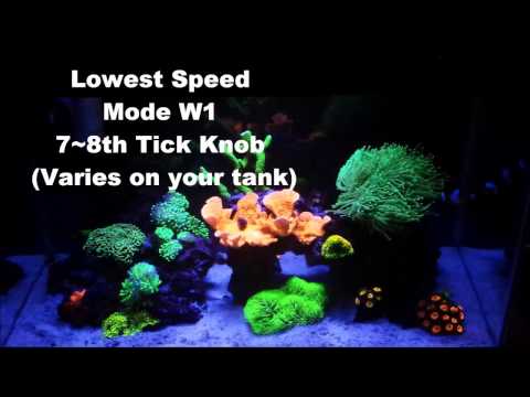 Jebao PP-4/RW-4 in a 10 Gallon Reef Tank