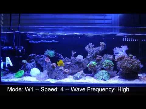 Jebao RW-8 Flow On A 3 Foot Reef Tank | Saltwater Aquarium