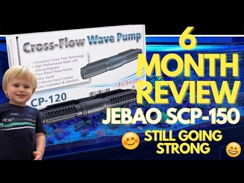Jebao SCP-150 Sine Cross Flow Gyre 6 Month Review