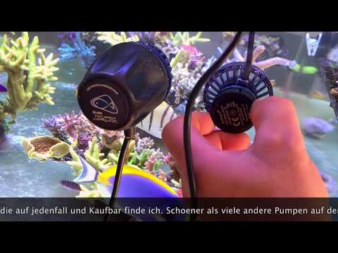 Jebao SLW-10 – que tal va? Deutscher Untertitel