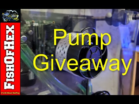 Jebao SLW-20 Giveaway & Nem/Fish Guard