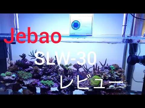 Jebao SLW-30 レビュー