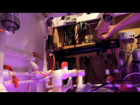 Jebao UV Light Sterilizer / New Bulbs /  Maintenance