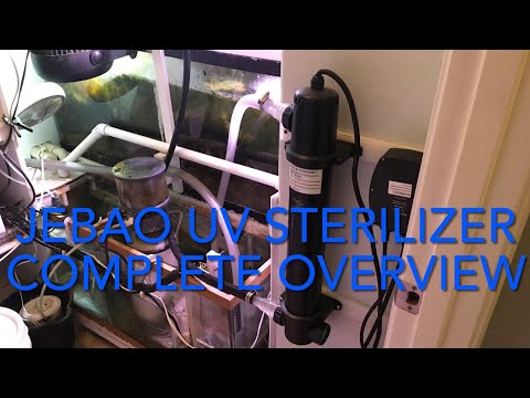 JEBAO UV sterilizer complete overview from what they do, install, with helpful tips& mistakes I made