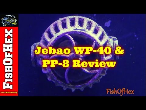 Jebao WP-40 / PP-8 Powerhead Review & Three Month Cleaning