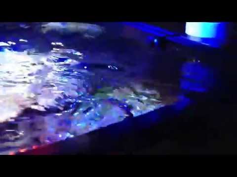 Jebao WP25 in W1 mode in 92g tank