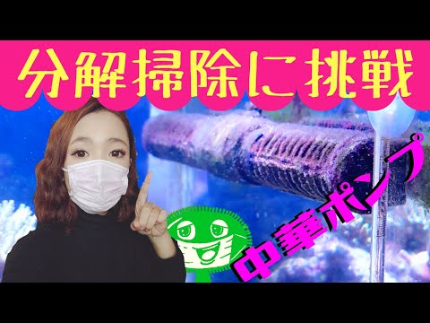 jebaoジェバオ水流ポンプ分解掃除に挑戦❗️海水魚水槽に良き波を✨my marine aquarium MOAMOAちゃんねる