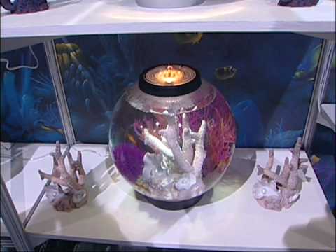 Kenneth Andrew Bell and the Easiest Aquarium EVER presenting the biOrb!!!!
