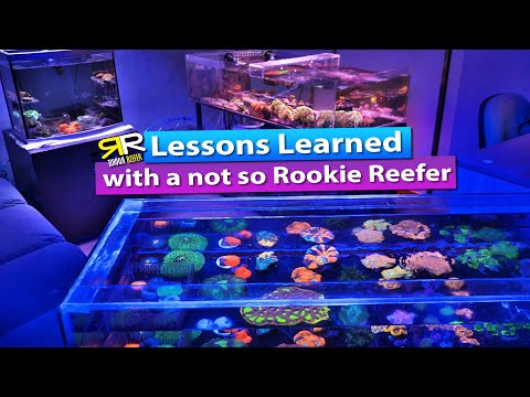 Lessons learned with a not so Rookie Reefer – Saltwater Aquarium Livestream