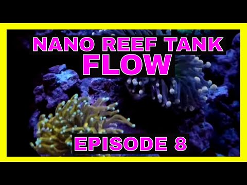 Nano Reef Tank Build – Jebao SW-2 – Episode 8