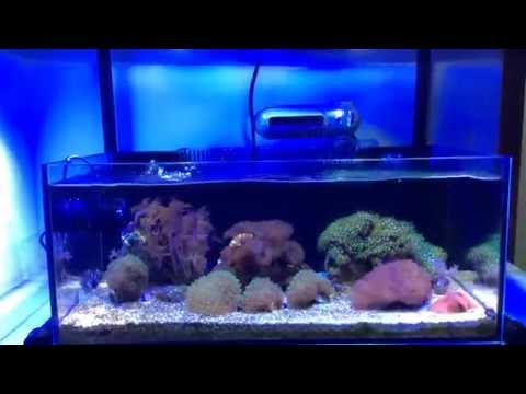 Nano Reef – Teste Jebao RW4