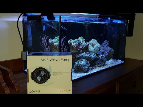 Nano Reef Vlog | Robimy fale | Jebao SOW-5 (39)