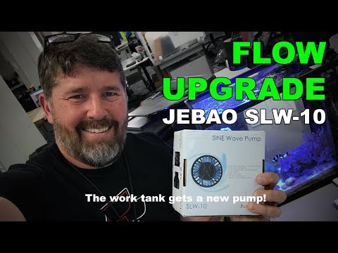 NEW FLOW with Jebao SLW-10