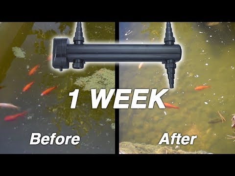 NEW Jebao UV Clarifier for POOL POND!