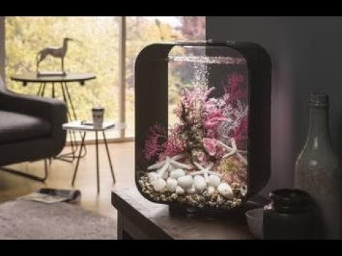 Oase Aquarien-Set "biorb live". Aufbau und Inbetriebnahme