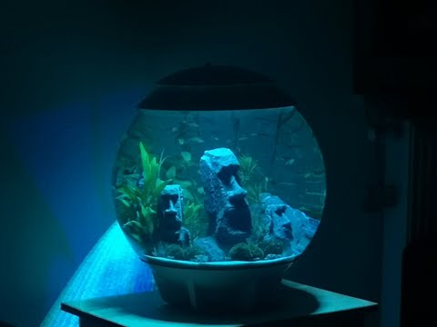 Oase biOrb HALO 60 Liter Kugelaquarium Umbau Guppys Pflanzen LED-Alexa Kompatibel Futter Automat