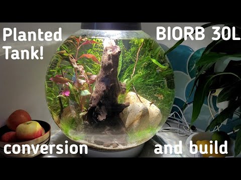 PLANTED BIORB 30L AQUARIUM – Build With Conversion Kit!