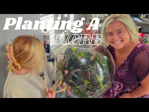 Repotting Plants In A Biorb | Trimming Old Plants & Adding New Tropical Plants!