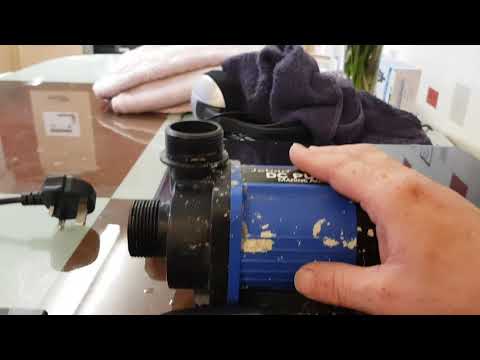Review of the Jebao DC6000 return pump
