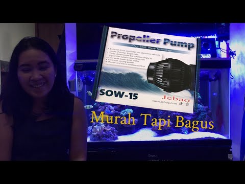 Review & Tutorial Menggunakan Wave Maker Jebao sow 4