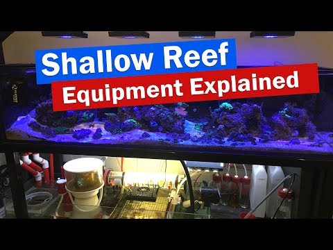 Shallow Reef Tank Sump and Equipment Explained – Echotech, Neptune, Jebao, DIY Reactor, Controllers
