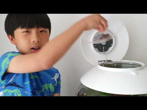 The amazing fishtank – Setting up a Biorb 30L Halo