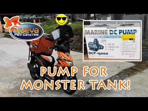 Unboxing: Jebao DCP 15000